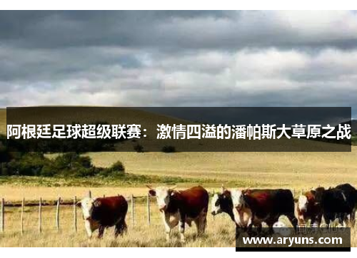 阿根廷足球超级联赛：激情四溢的潘帕斯大草原之战